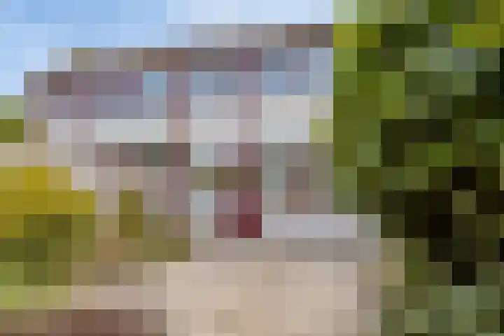 Robbesant 16 Emmeloord thumbnail 29