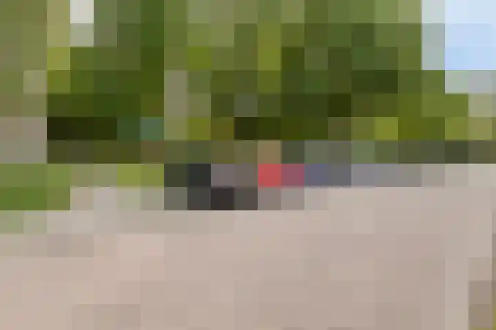Robbesant 16 Emmeloord thumbnail 35