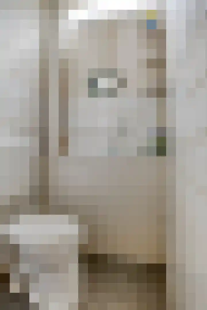 Robbesant 16 Emmeloord thumbnail 5