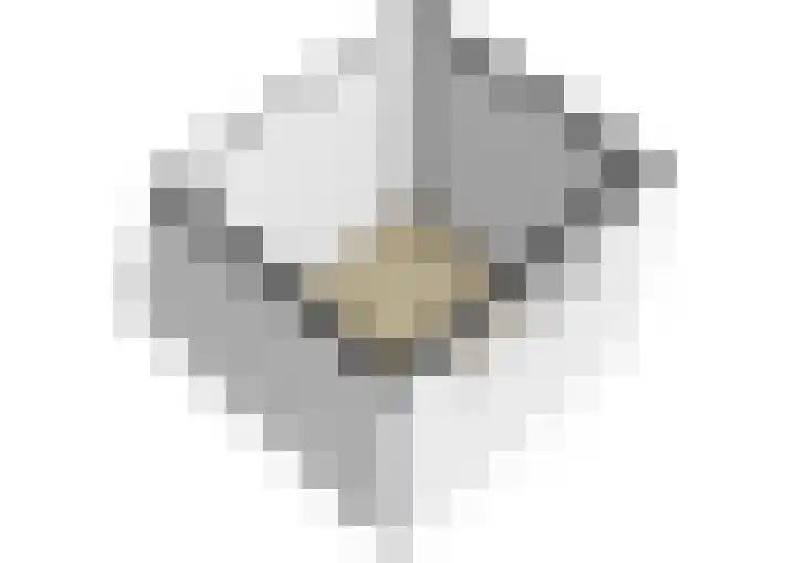 Photo de Robert-Jan t'Sas