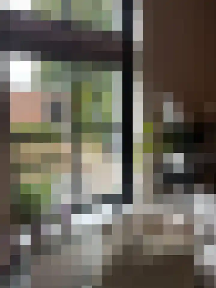 Robert Josephstraat 43 Duiven thumbnail 10