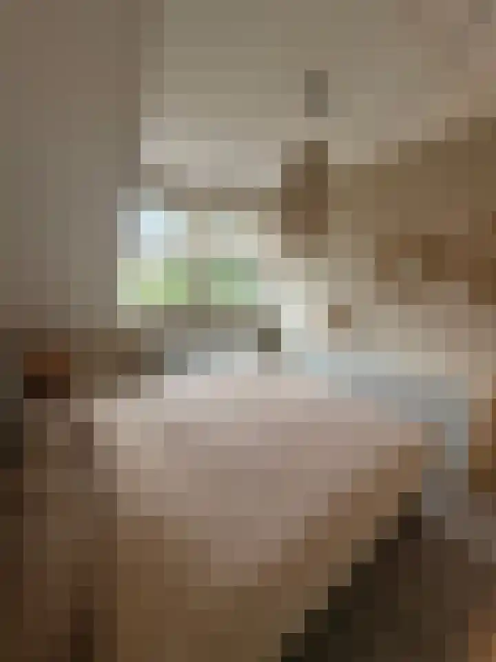 Robert Josephstraat 43 Duiven thumbnail 18