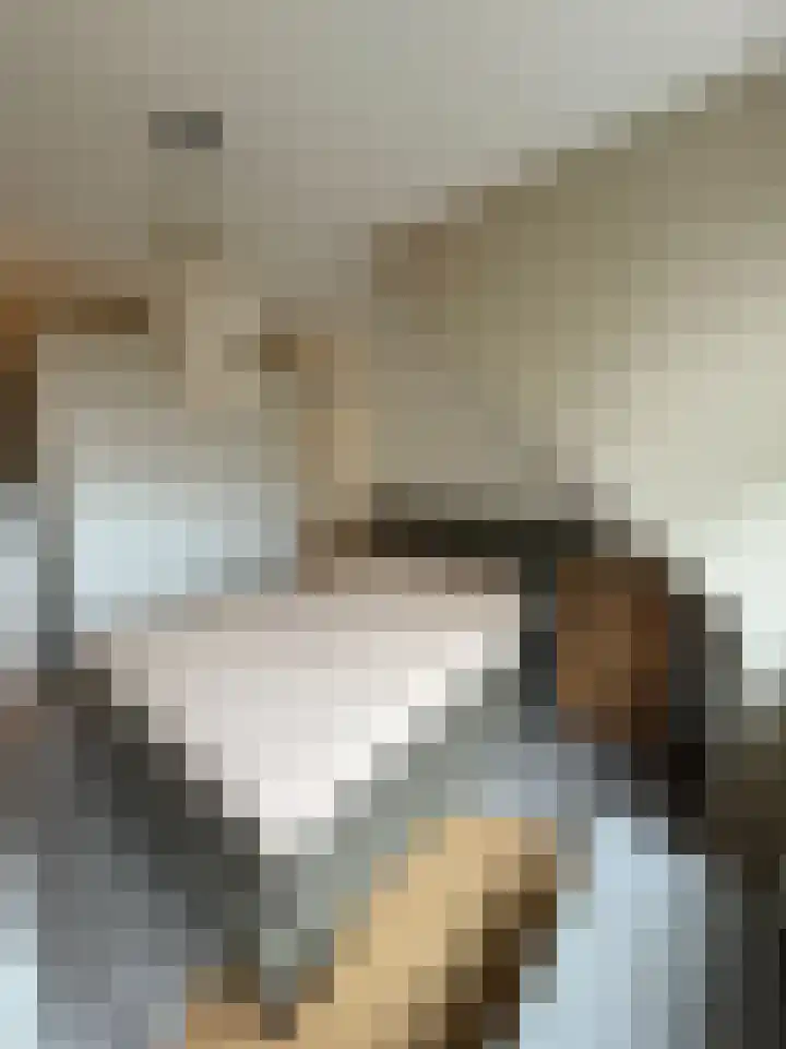 Robert Josephstraat 43 Duiven thumbnail 19