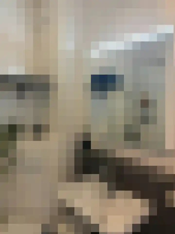 Robert Josephstraat 43 Duiven thumbnail 23