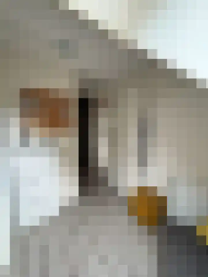 Robert Josephstraat 43 Duiven thumbnail 25