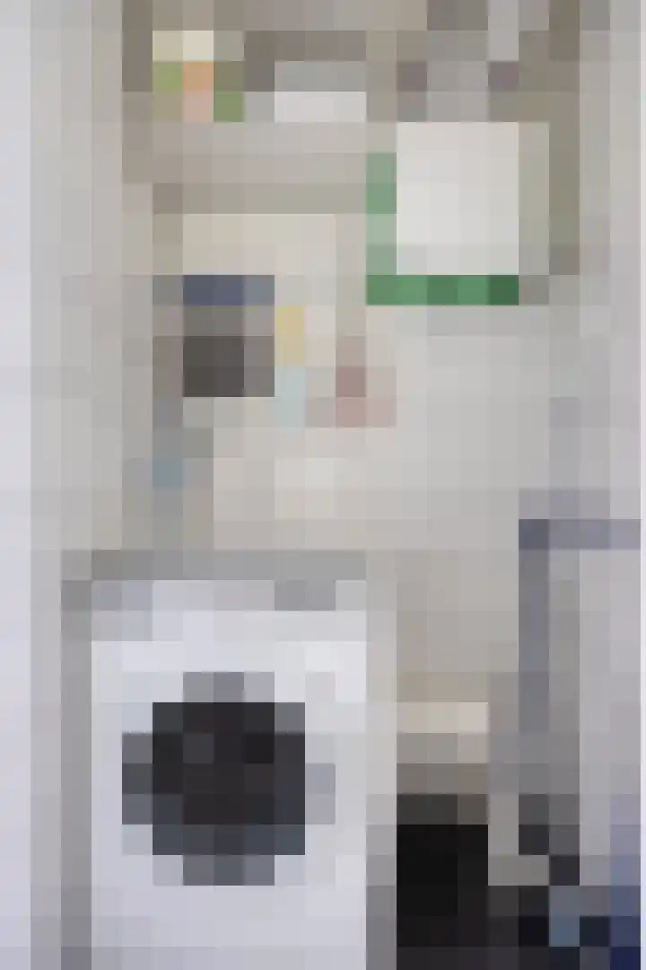 Robert Josephstraat 9 Duiven thumbnail 11