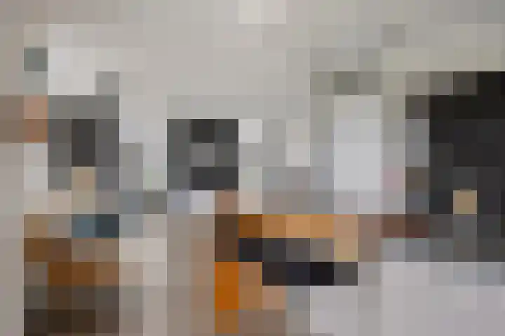 Robert Josephstraat 9 Duiven thumbnail 23