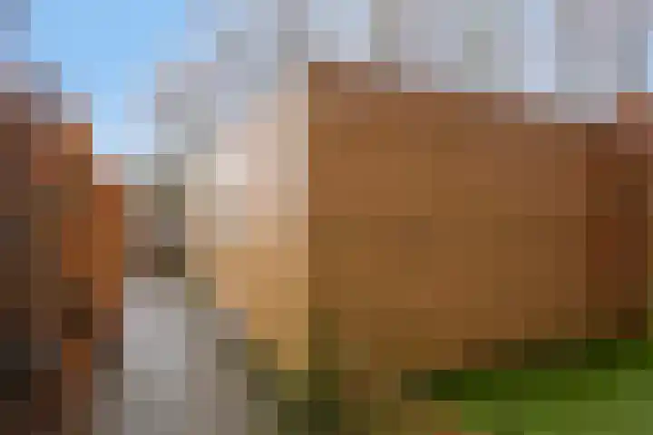 Robert Josephstraat 9 Duiven thumbnail 31