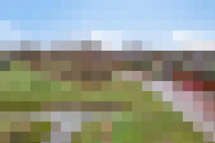Robert Josephstraat 9 Duiven thumbnail 37
