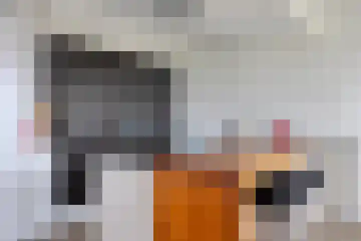 Robert Josephstraat 9 Duiven thumbnail 4