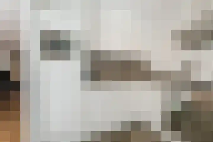 Robert Schumansingel 6 Budel thumbnail 14