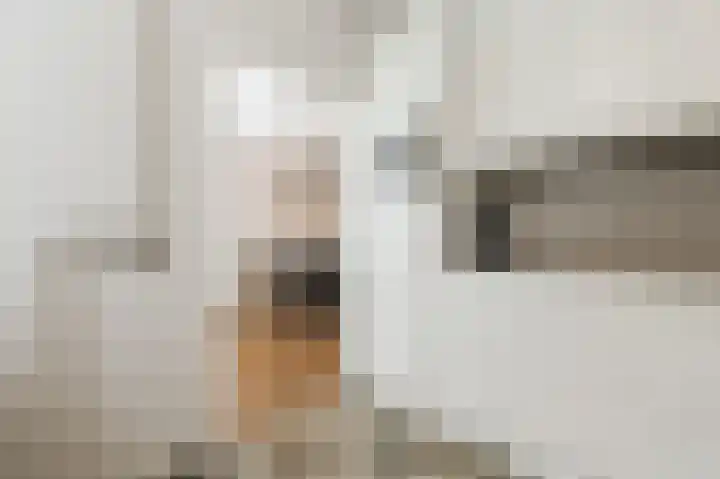 Robert Schumansingel 6 Budel thumbnail 15