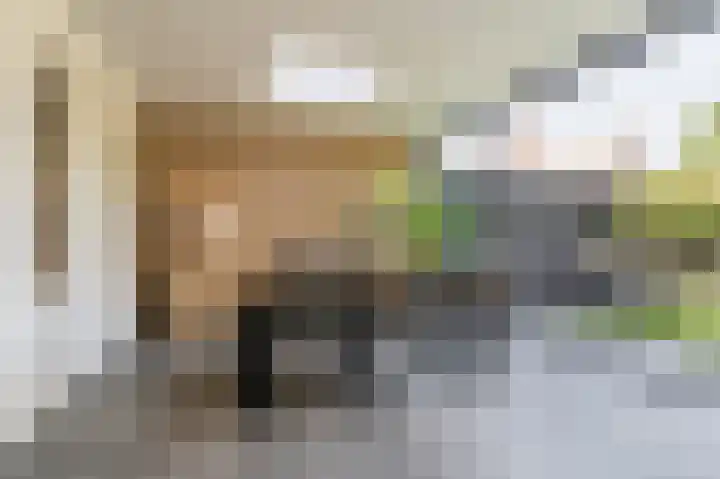 Robert Schumansingel 6 Budel thumbnail 17