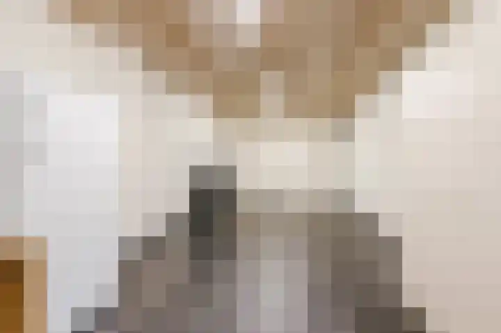 Robert Schumansingel 6 Budel thumbnail 21