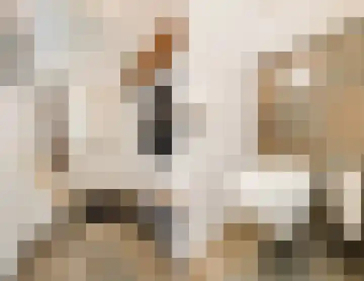 Robert Schumansingel 6 Budel thumbnail 22