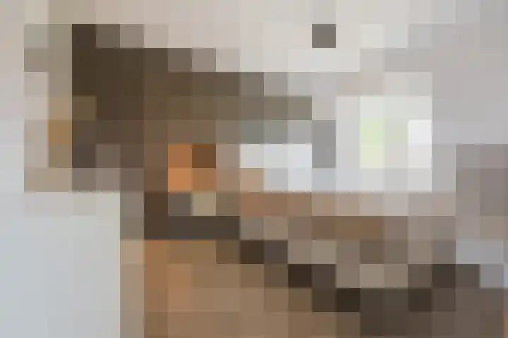 Robert Schumansingel 6 Budel thumbnail 24