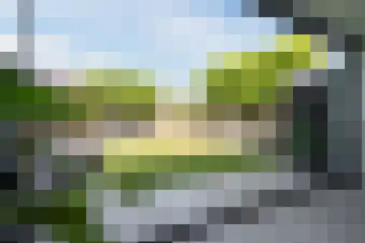 Robert Schumansingel 6 Budel thumbnail 34