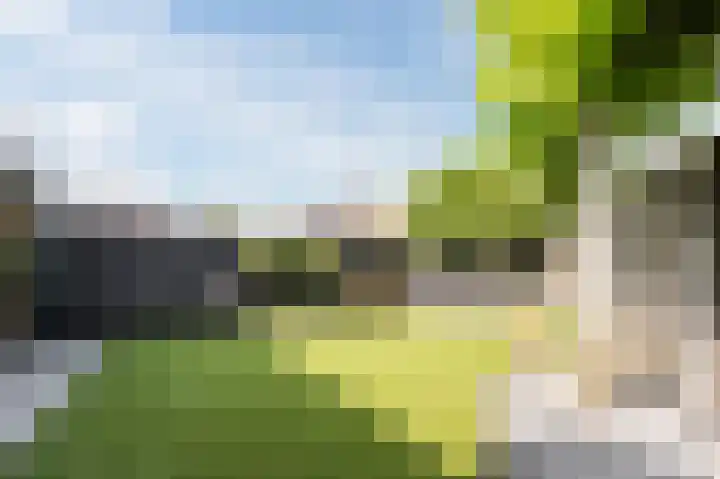 Robert Schumansingel 6 Budel thumbnail 36