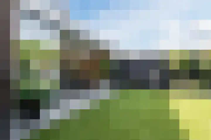 Robert Schumansingel 6 Budel thumbnail 37