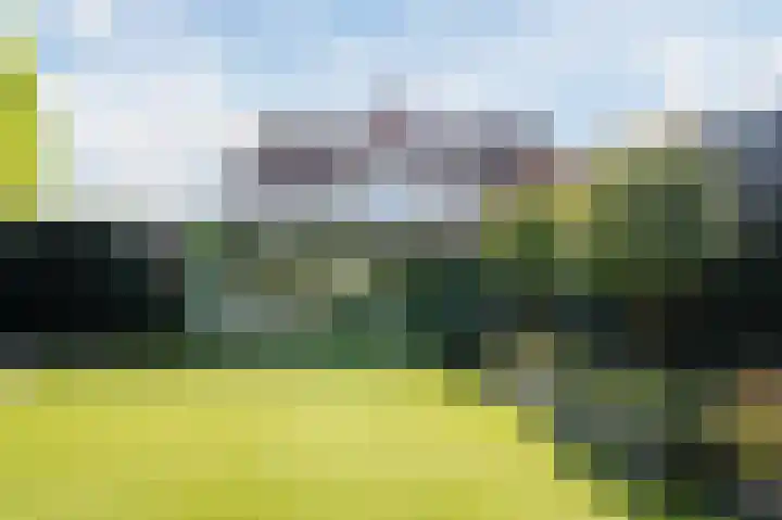 Robert Schumansingel 6 Budel thumbnail 38