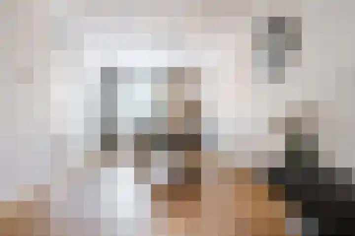 Robert Schumansingel 6 Budel thumbnail 9