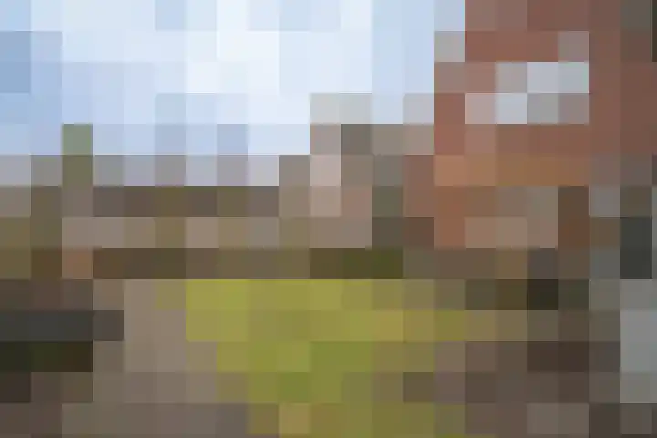 Robertinkkamp 6 Enschede thumbnail 36