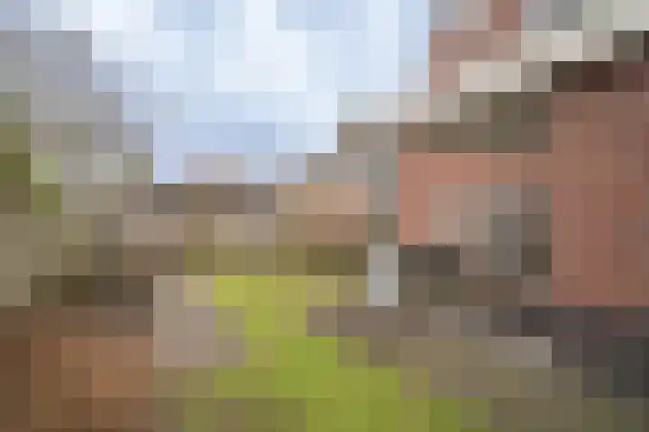 Robertinkkamp 6 Enschede thumbnail 41