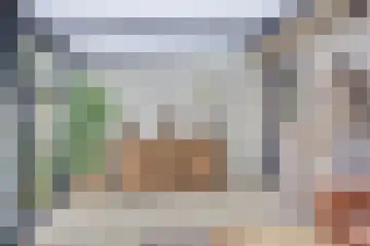 Robertskruid 26 Zeewolde thumbnail 15