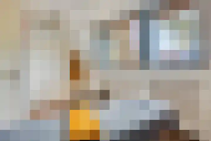 Robertskruid 26 Zeewolde thumbnail 21