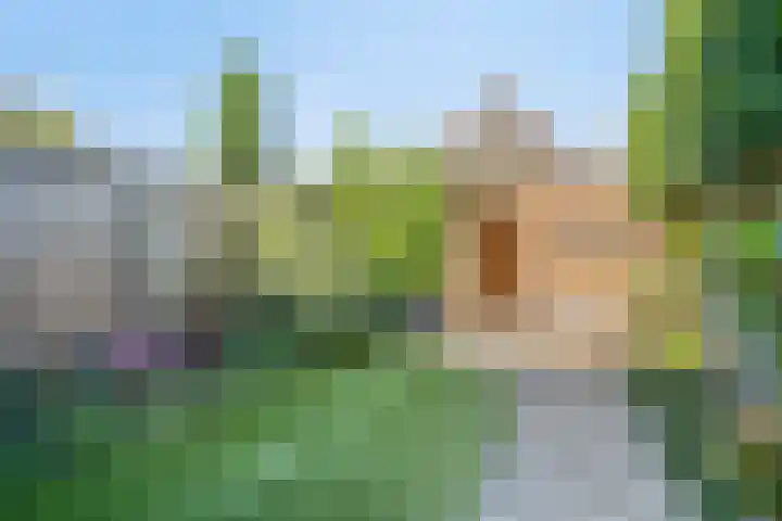 Robertskruid 26 Zeewolde thumbnail 26