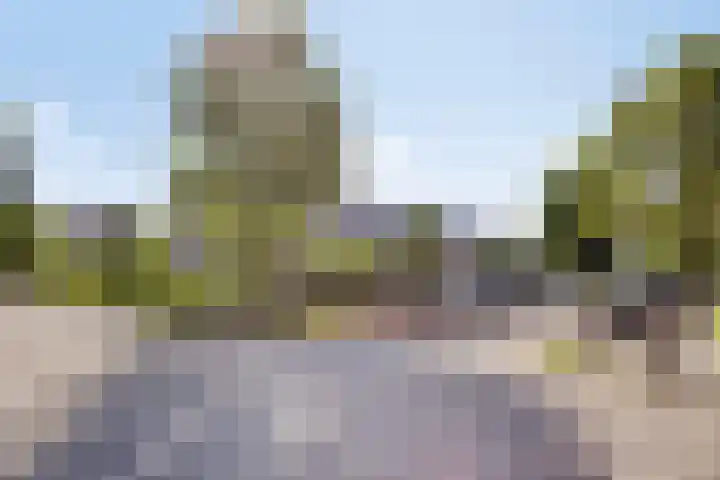 Robertskruid 26 Zeewolde thumbnail 30