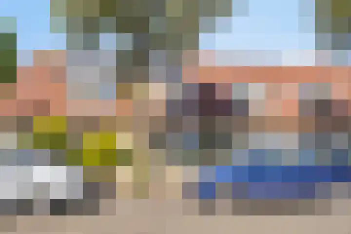 Robertskruid 26 Zeewolde thumbnail 31