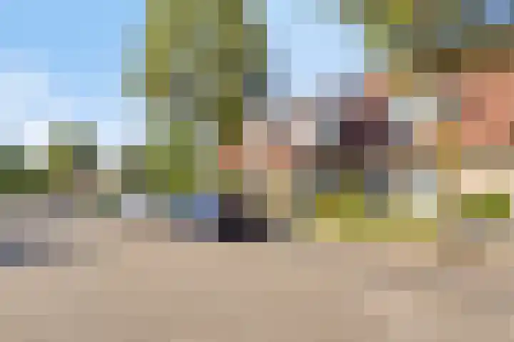 Robertskruid 26 Zeewolde thumbnail 32