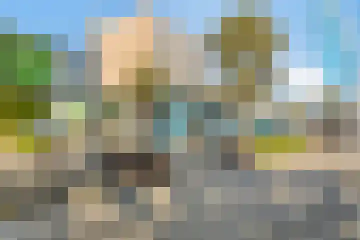 Robertskruid 26 Zeewolde thumbnail 33