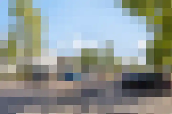 Robertskruid 26 Zeewolde thumbnail 34