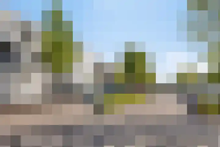 Robertskruid 26 Zeewolde thumbnail 35