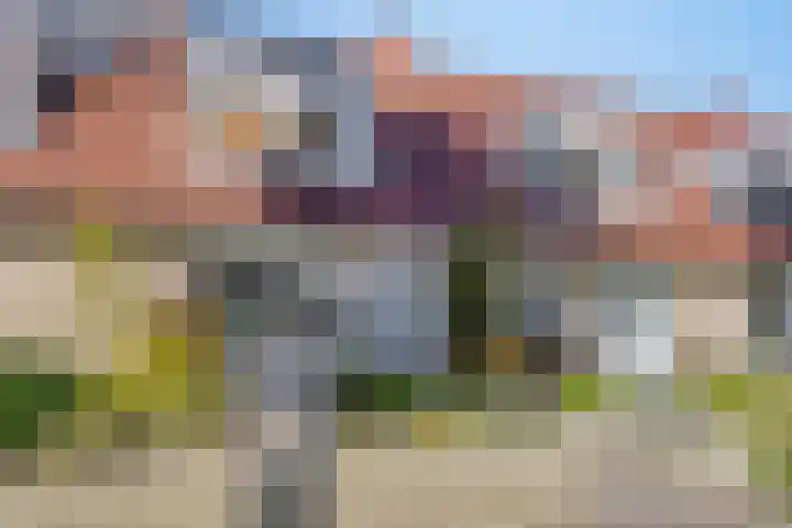 Robertskruid 26 Zeewolde thumbnail 4