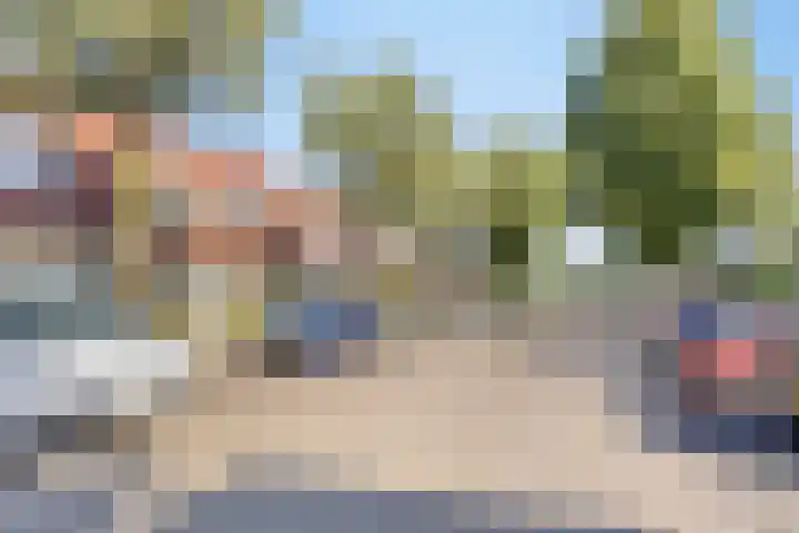 Robertskruid 26 Zeewolde thumbnail 5