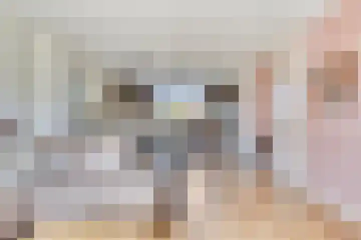 Robertskruid 26 Zeewolde thumbnail 6