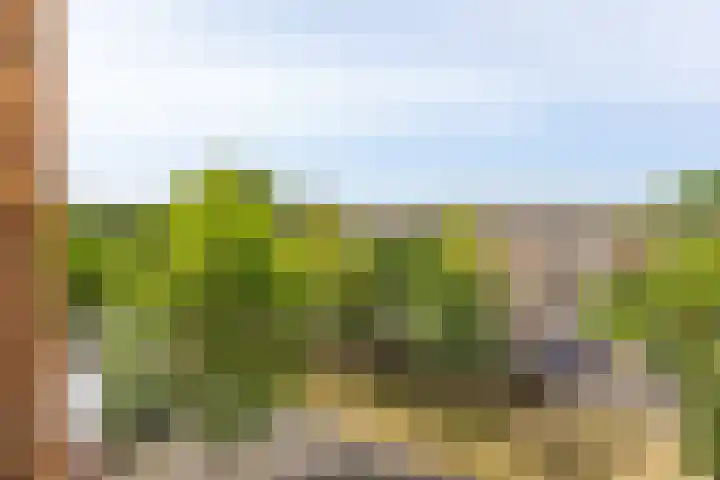 Robijn 33 Zeewolde thumbnail 15
