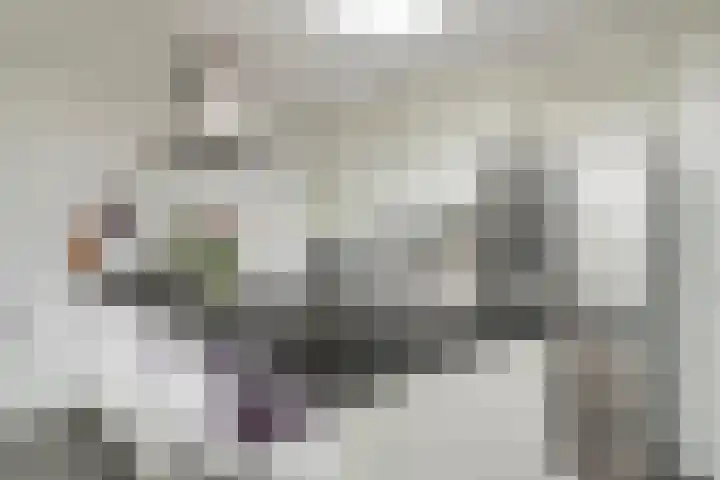 Robijn 33 Zeewolde foto 2