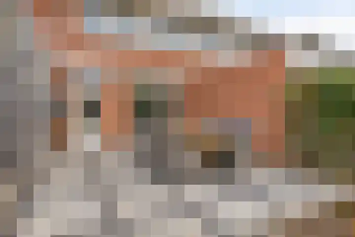 Robijn 33 Zeewolde thumbnail 30
