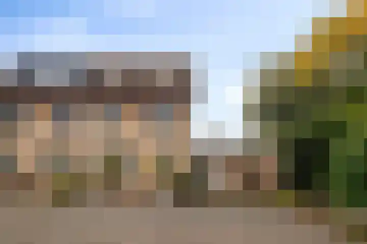 Robijn 33 Zeewolde thumbnail 4