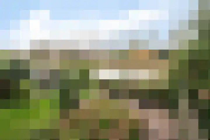 Robijn 33 Zeewolde thumbnail 52