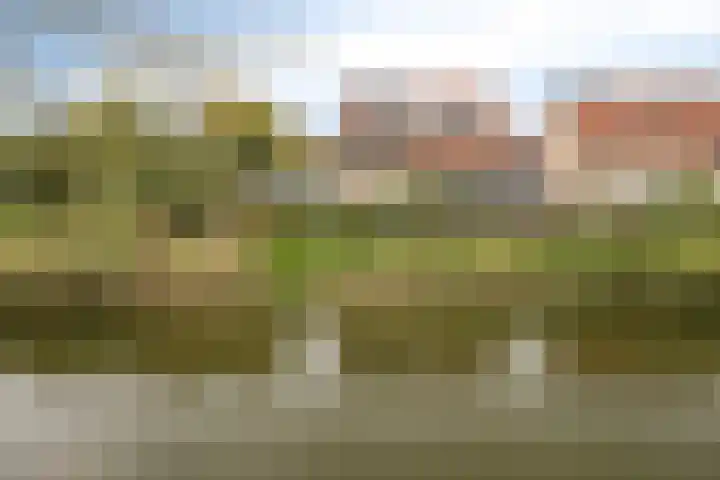 Robijn 33 Zeewolde thumbnail 57
