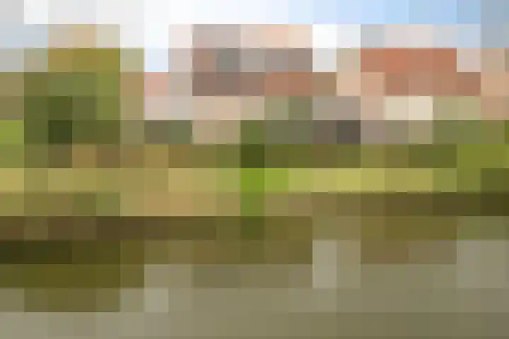 Robijn 33 Zeewolde thumbnail 58