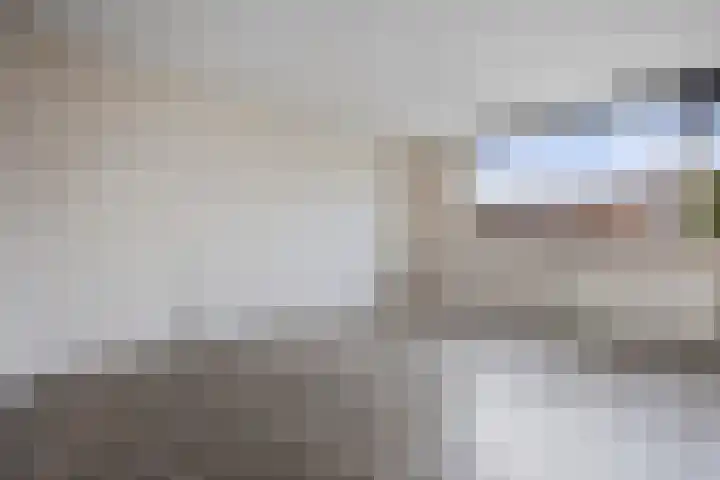 Robijn 7 's-Hertogenbosch thumbnail 15