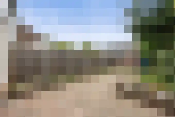 Robijn 7 's-Hertogenbosch thumbnail 24