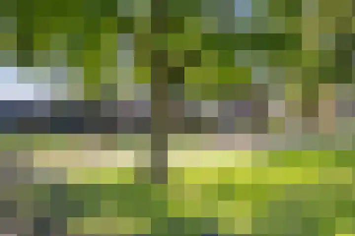 Robijn 7 's-Hertogenbosch thumbnail 29