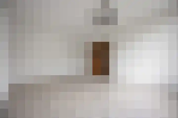 Robijn 7 's-Hertogenbosch thumbnail 8